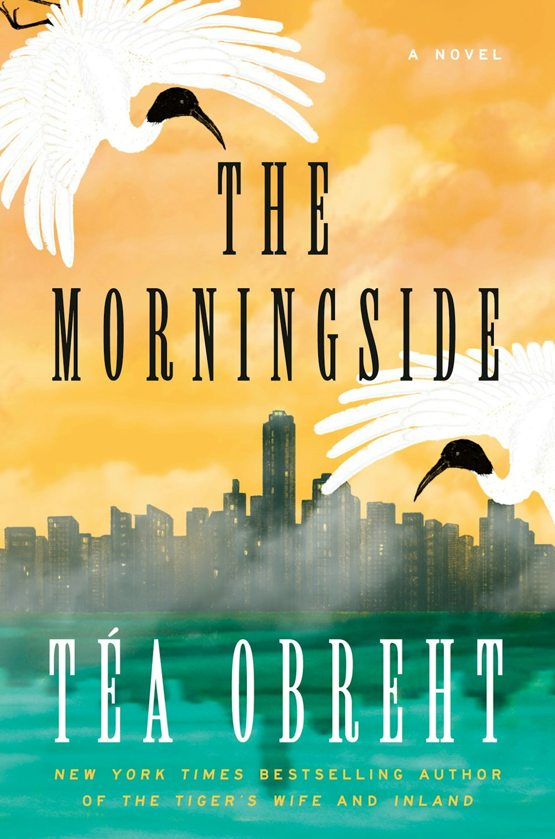 Book jacket for The Morningside