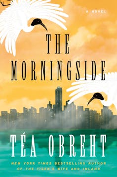 The Local weather Fiction Prize 2025: the 5 shortlisted books reviewed through our mavens 1 Book jacket for The Morningside