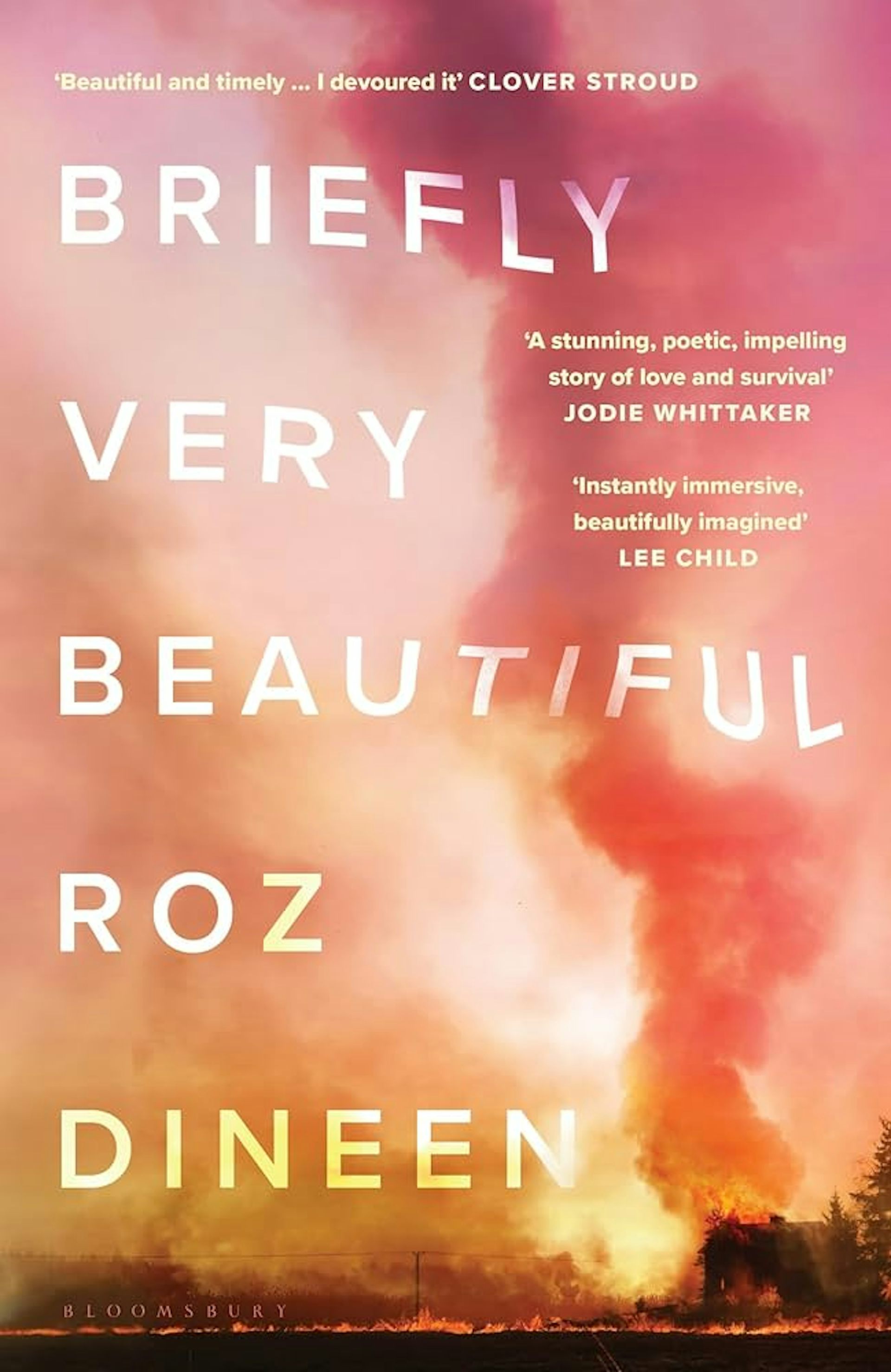Briefly Very Beautiful book jacket