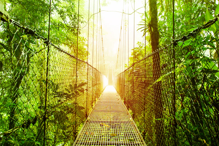 hanging bridge in tropical forest of costa rica