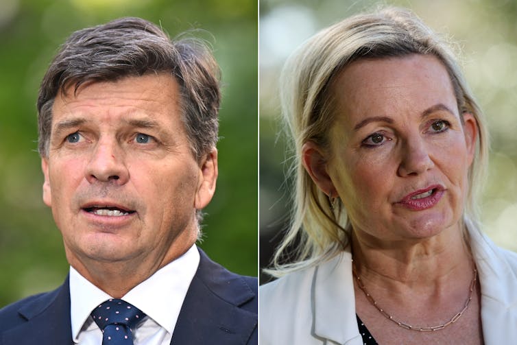 Composite image showing Shadow Treasurer Angus Taylor and Deputy Leader Sussan Ley side by side.