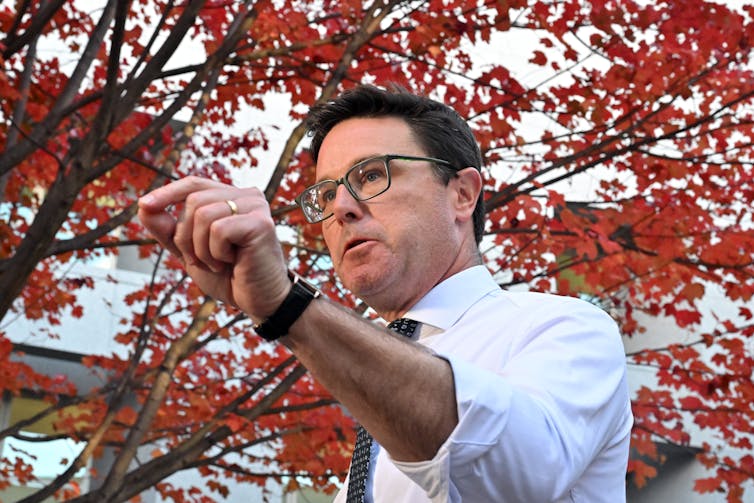 Nationals Leader David Littleproud makes a point during a press conference at Parliament House in Canberra, with the red flame tree leaves in the background.