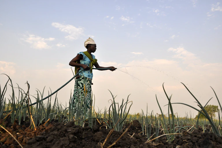 woman holding hose pipe watering green crop