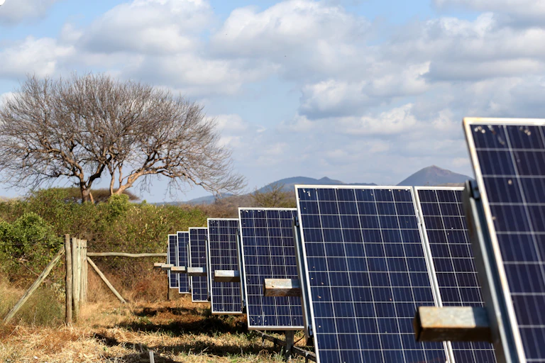 About 10 lines of solar panels outdoors in a landscape with trees and mountains