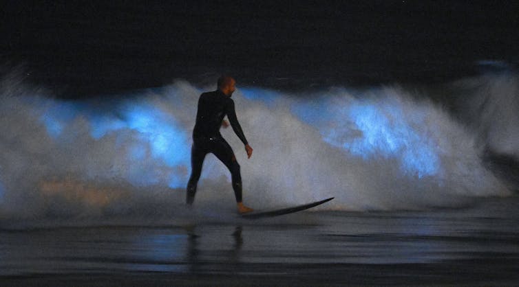 a surfer at night against blue glowing waves