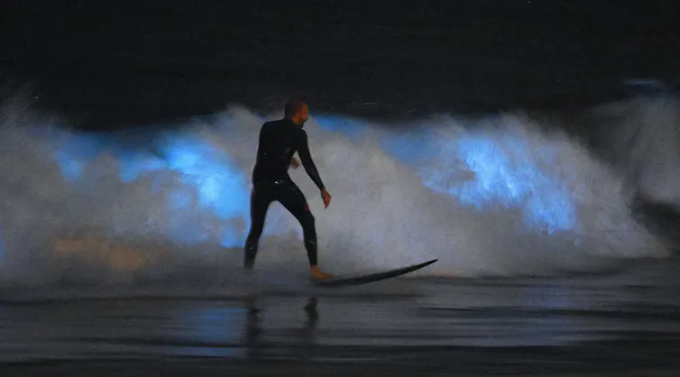 a surfer at night against blue glowing waves