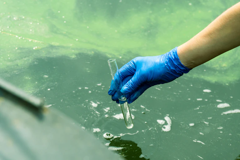Mano enguantada recogiendo una muestra de agua en un tubo de ensayo