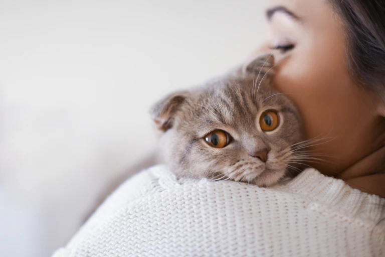 Gato apoyado en el hombro de una mujer
