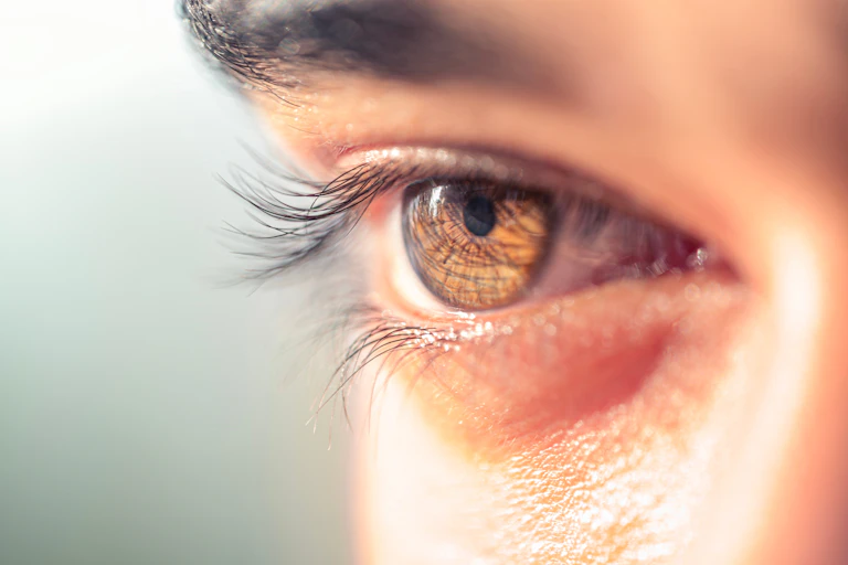 Close-up of a man's hazel eye and long eyelashes.