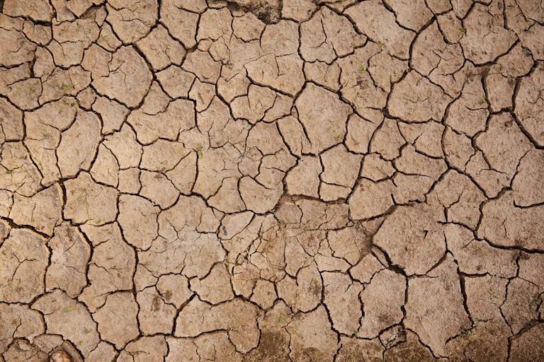 cracked land, drought.