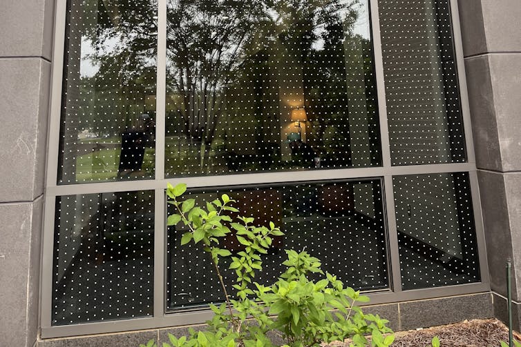 Una foto de la ventana mirando hacia afuera. Las ventanas tienen los puntos.