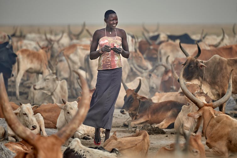 ‘Killing is part of their life’: the lads raised on violence who're each perpetrators and sufferers as South Sudan faces go back to civil struggle 3 A young Dinka woman walks among cattle in South Sudan's war-torn Jonglei state.