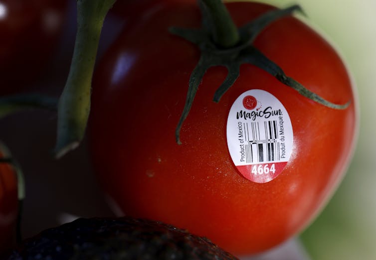 A tomato with a sticker on it indicating that it was grown in Mexico