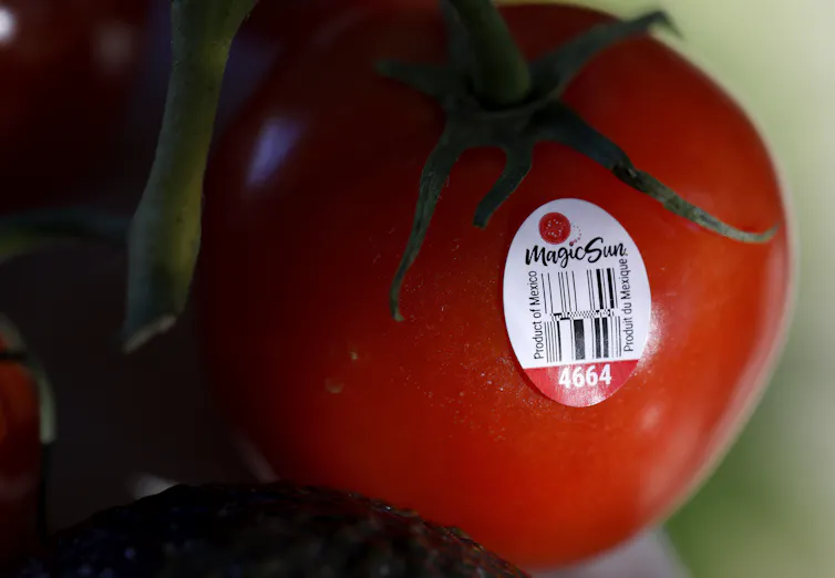 A tomato with a sticker on it indicating that it was grown in Mexico