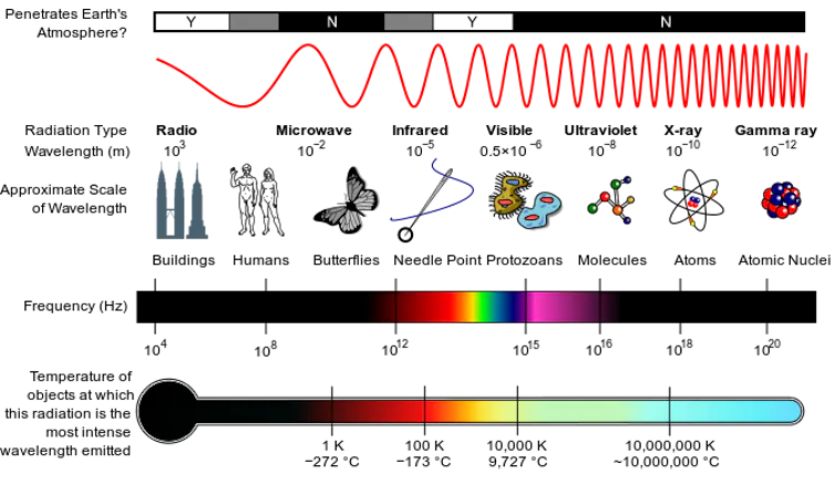 A diagram of the electromagnetic spectrum, with radio, micro and infrared waves having a longer wavelength than visible light, while UV, X-ray and gamma rays have shorter wavelengths than visible light.