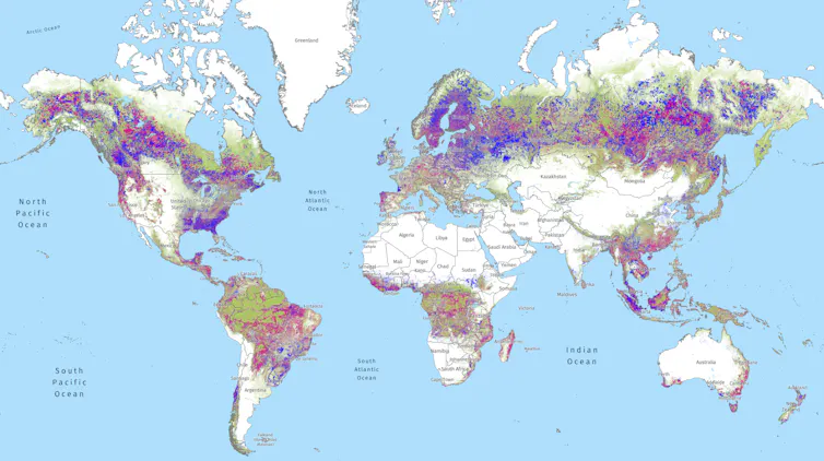 El mapa muestra principalmente manchas y una pequeña victoria en el bosque en el hemisferio sur. Las semillas del hemisferio ganan y la pérdida son mixtas.