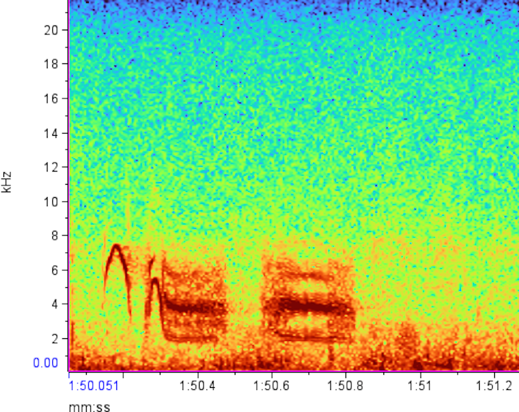 red outlines against a rainbow colored background show the variation of a call over time
