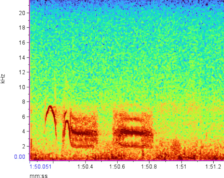 red outlines against a rainbow colored background show the variation of a call over time