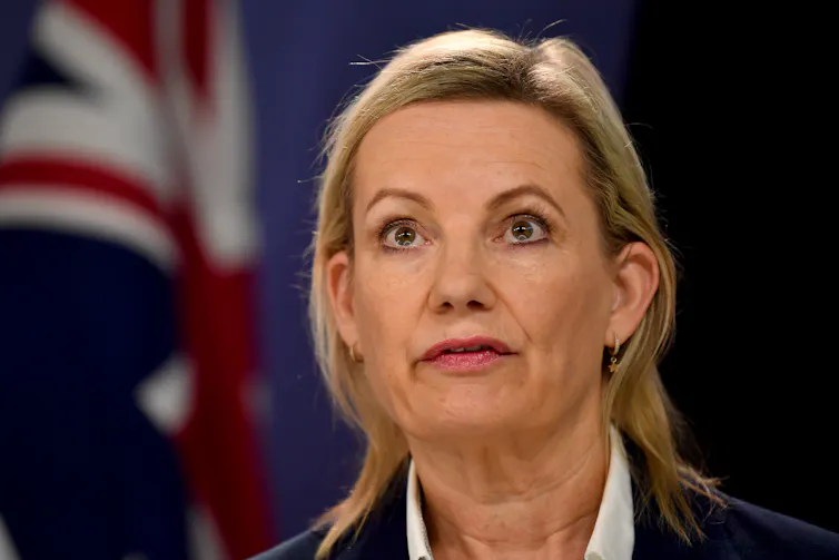 Head shot of Liberal leader Sussan Ley standing in front of the Australian flag