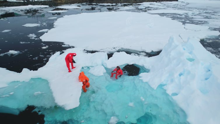 Three scientists in orange wetsuits take samples and measure melting ice in Antarctica.