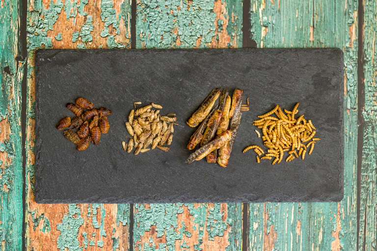 Menú de insectos sobre un plato de pizarra