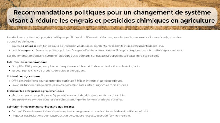 How some of the well-liked insecticides in France threaten sparrows 3 file 20250519 56 lfvz4o.jpg?ixlib=rb 4.1