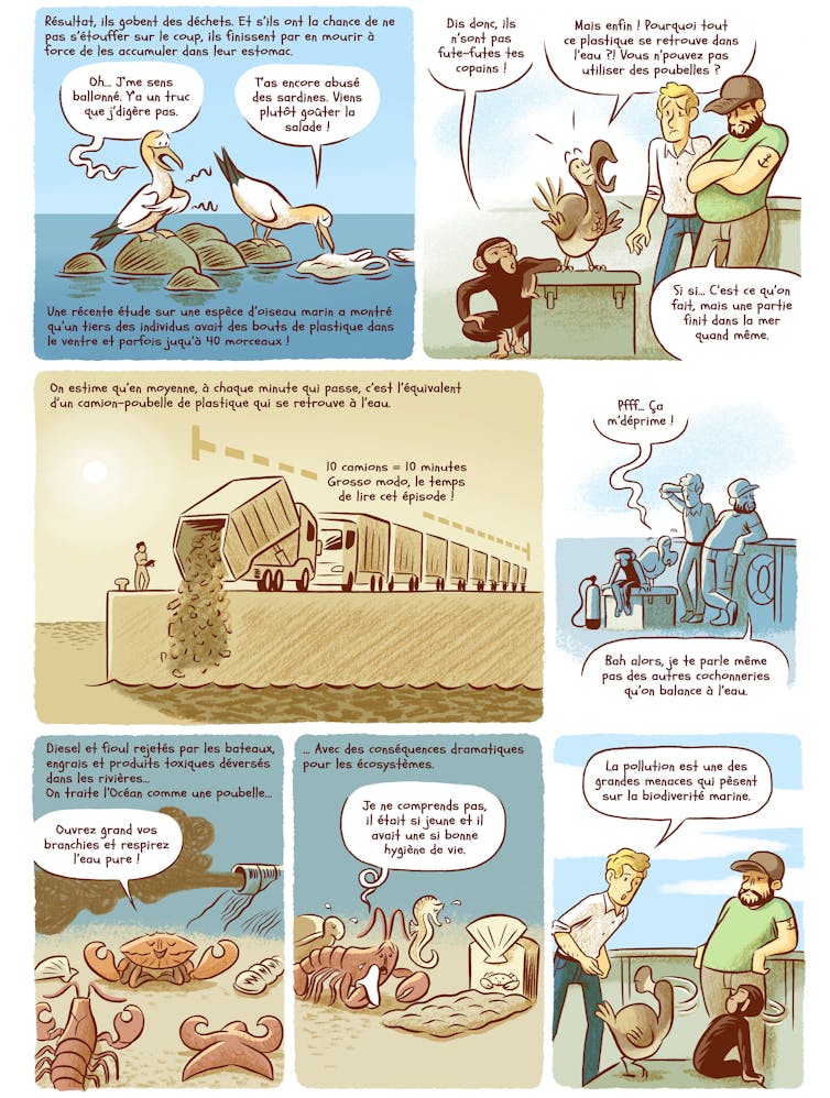 BD: Legacy Dodo (Episode 4) 4 file 20250519 56 ecs2kt.jpg?ixlib=rb 4.1