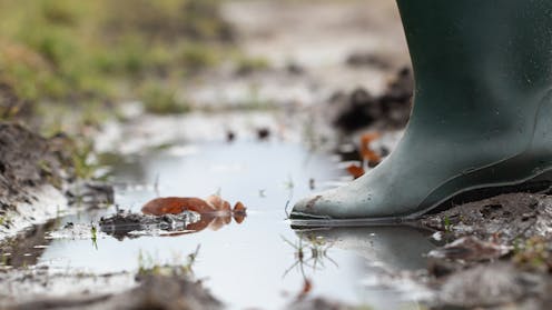 The Queensland melioidosis outbreak is still growing. What’s keeping this deadly mud bug active?