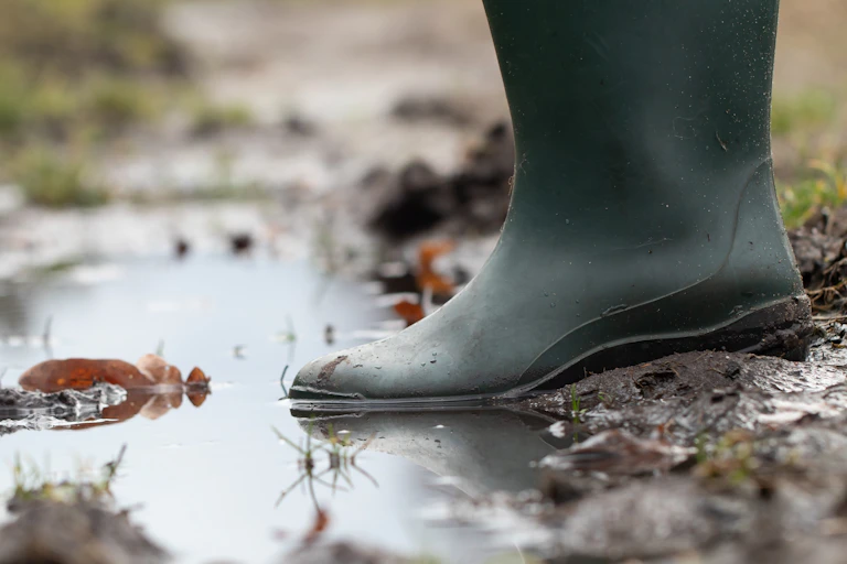 A foot wearing a black gumboot standing in mud.