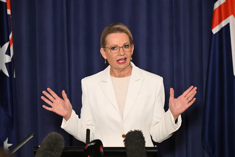 Sussan Ley stands at a lectern and gesticulates while speaking