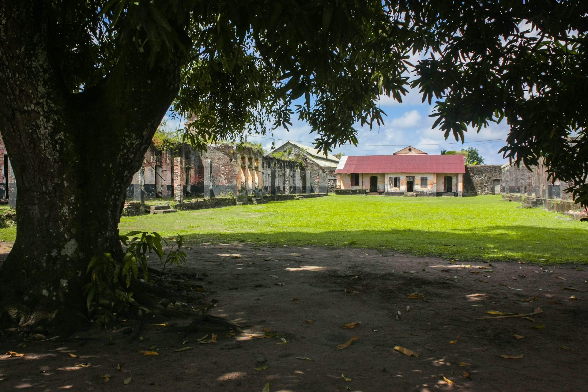 Derrière un arbre majestueux, on aperçoit les ruines du bagne de Saint-Laurent-du-Maroni en Guyane française.