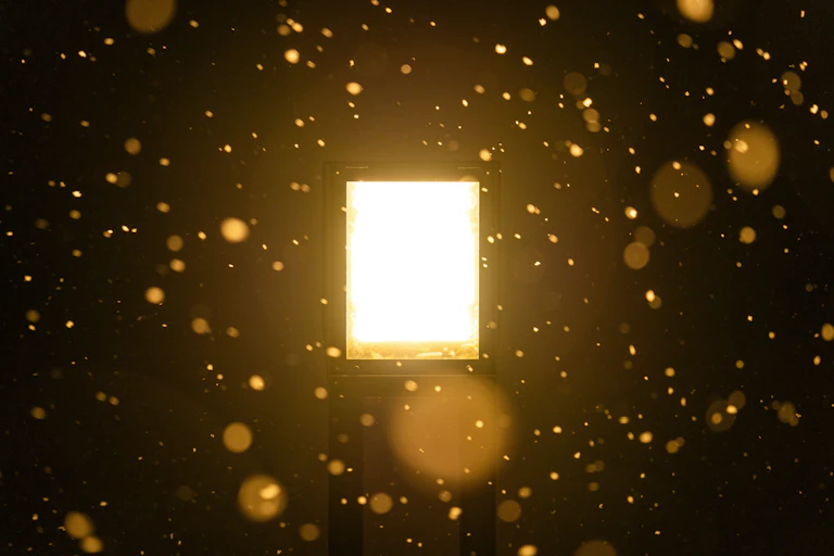 Photo of a golden light surrounded by flecks of gold against a dark background.