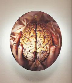 Woman's hands holidng a brain