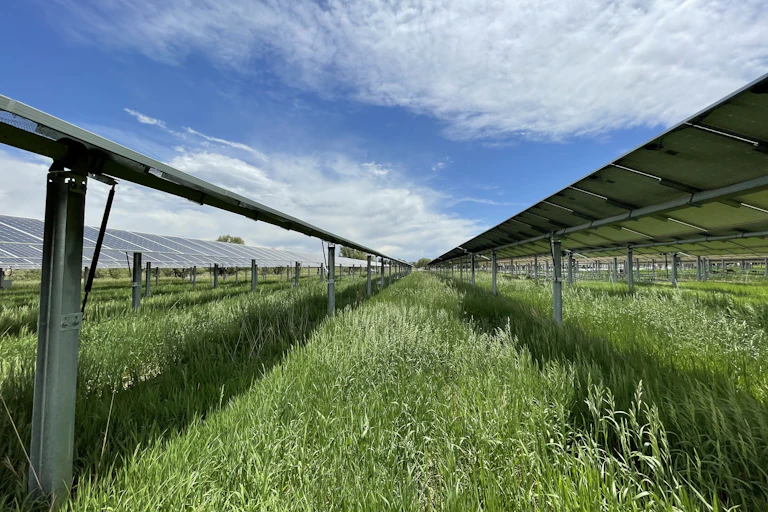 Solar panels sit on metal frames above grasslands.