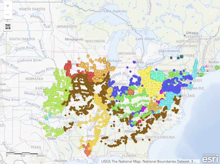 U.S. map showing periodical cicada distribution