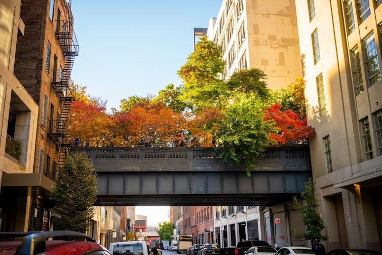 High line park, trees in city.
