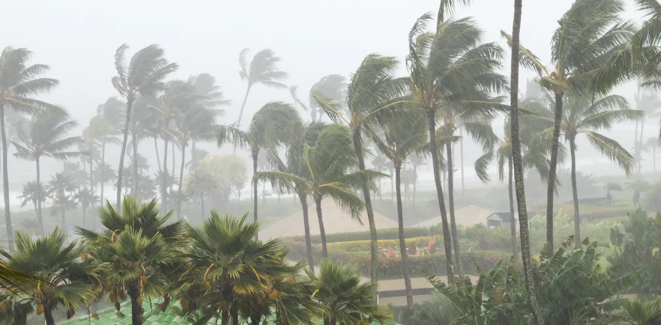 Cyclones drive people to buy health insurance, more so than some government campaigns Cyclones drive people to buy health insurance, more so than some government campaigns