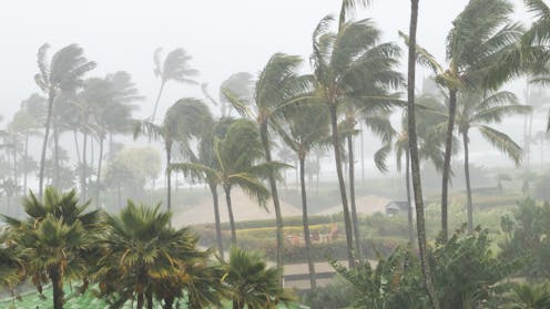 Cyclones drive people to buy health insurance, more so than some government campaigns