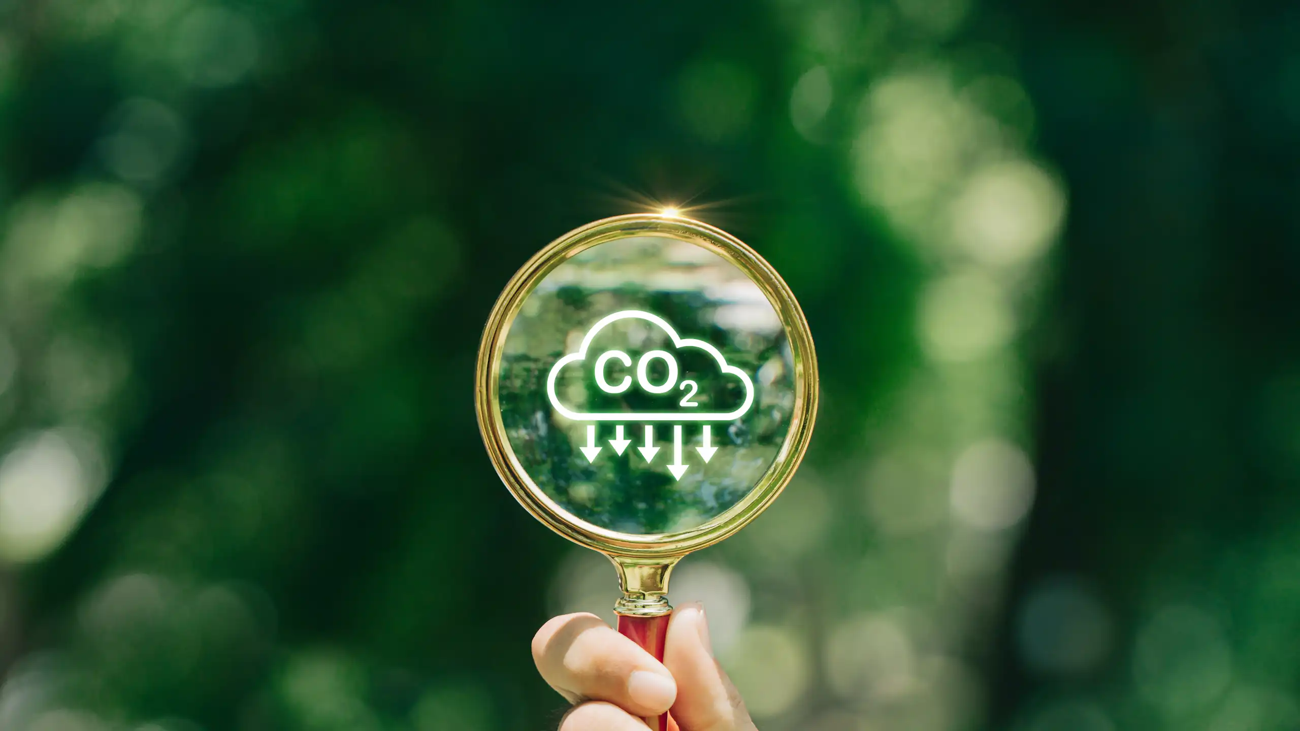 Una mano sujetando una lupa con el símbolo del CO2 dentro de una nube