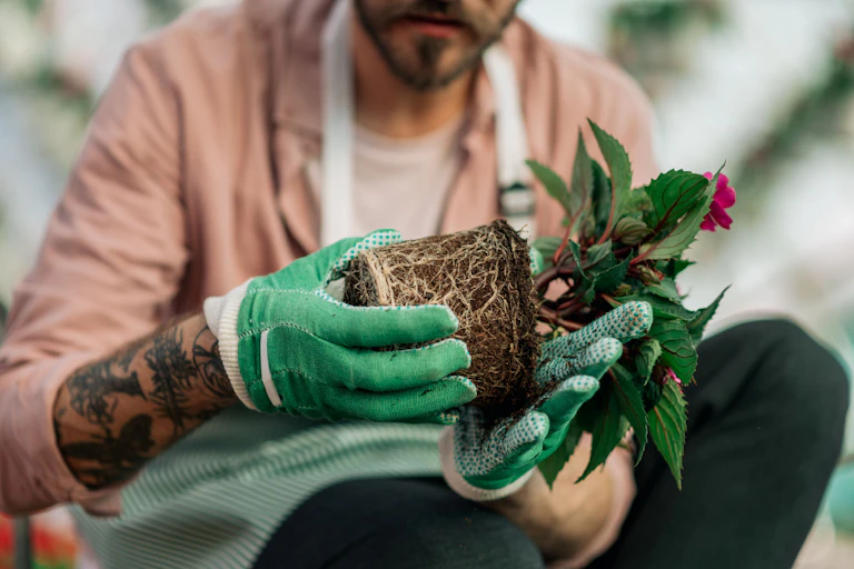Close up of tattooed florist holding flower plant with roots visible.