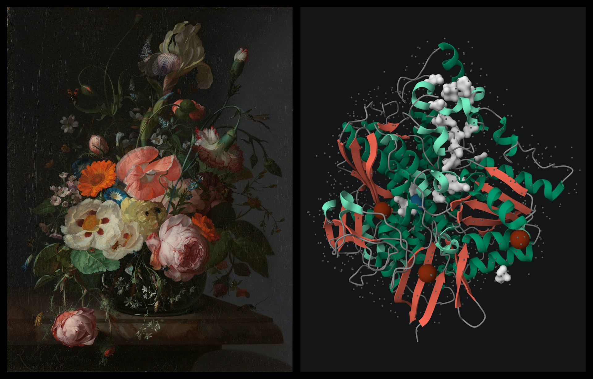 Painting of flowers next to an abstract model showing colour in lines and shapes that echo the shape of the flowers.