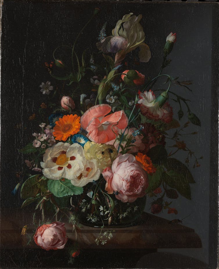 Nature morte représentant de nombreuses fleurs sur fond noir, avec des insectes posés sur certaines feuilles