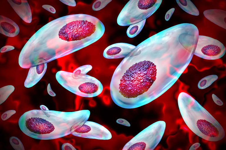 Illustration of oblong cells with oblong nuclei, a hazy red swirl superimposed on top