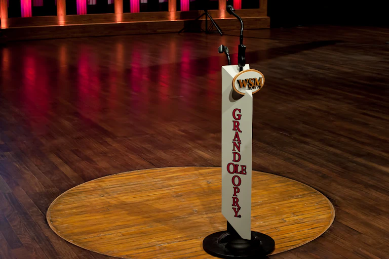 a microphone stand set at the edge of a circle made of thin, light-colored wood boards set in a stage floor made of darker wood