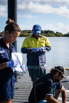Three people standing on a pier collecting DNA samples with the Clarence River estuary in the background