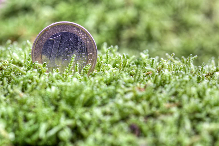 une pièce d'un euro qui semble pousser dans un champ d'herbe