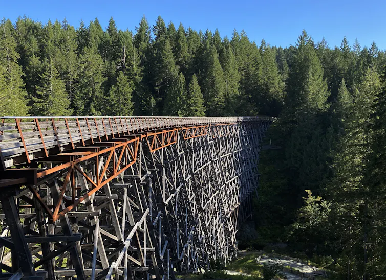 A trestle bridge stretches high off the ground, disppearing into an evergreen tree forest