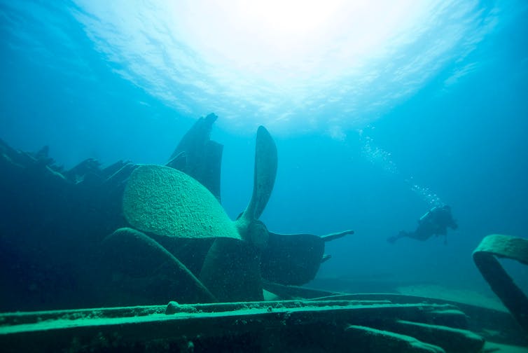 A diver swims near a sunked shipwreck