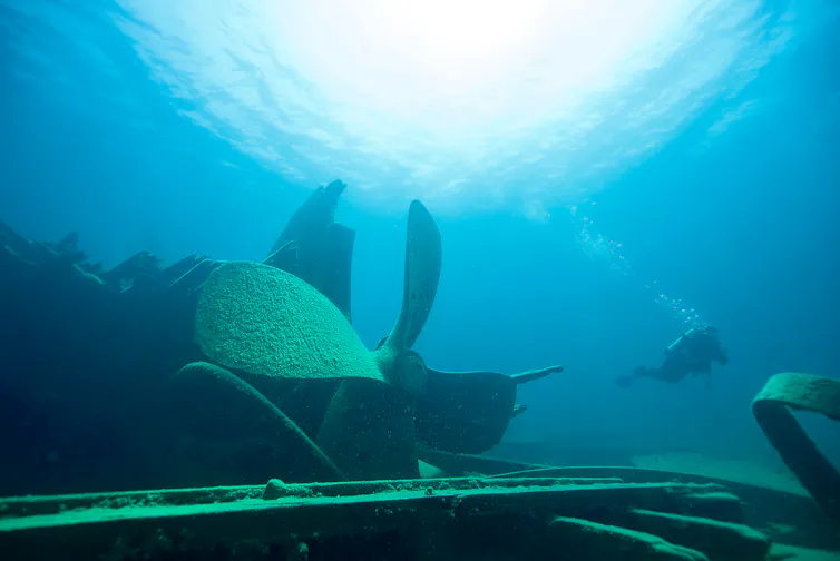 A diver swims near a sunked shipwreck