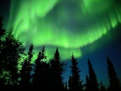 Las luces del norte verde brillan en el cielo nocturno detrás de los árboles de hoja perenne